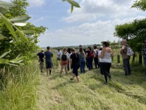 découverte agroforesterie