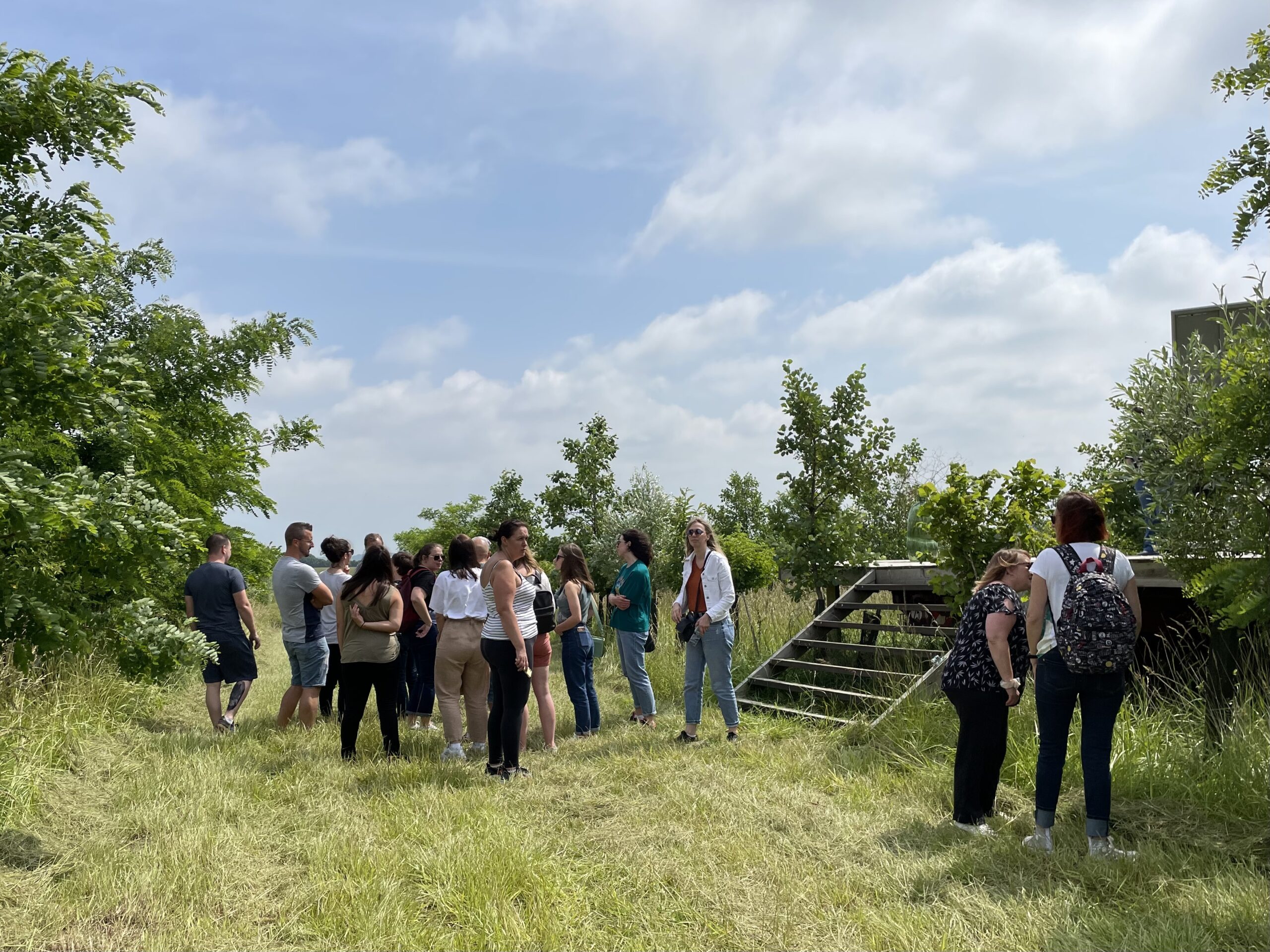 Découverte de l’agroforesterie